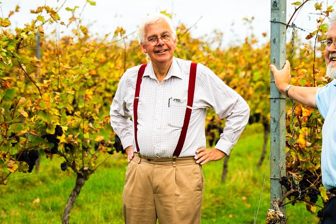 Sussex Vineyard & Winery Bus Tour on Iconic Vintage London Bus - A Routemaster ride from Brighton