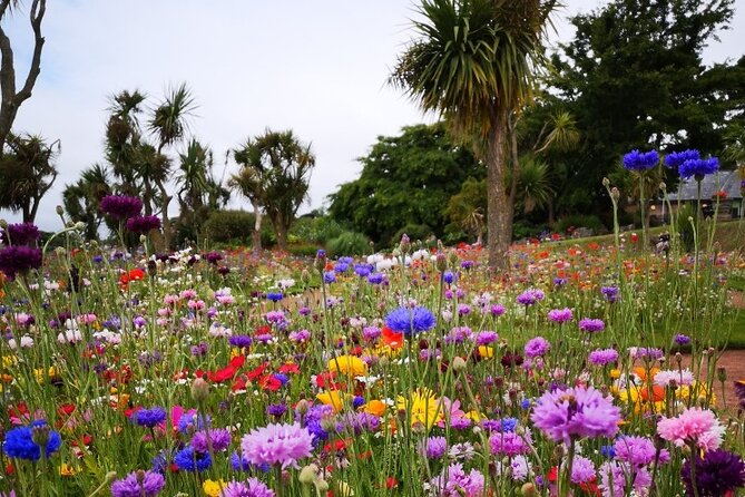 The story of Agatha Christie's extraordinary life - Who should book this Torquay walk?