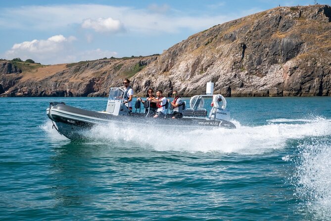 Torquay Coastal RIB Seafari - Dolphins, porpoises, and the luck of the day