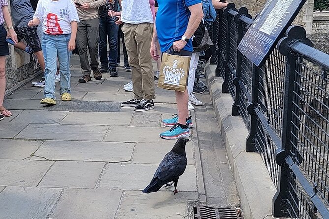 Tower of London: Guided Tour with Thames River Cruise - Inside a fortress shaped by power and fear