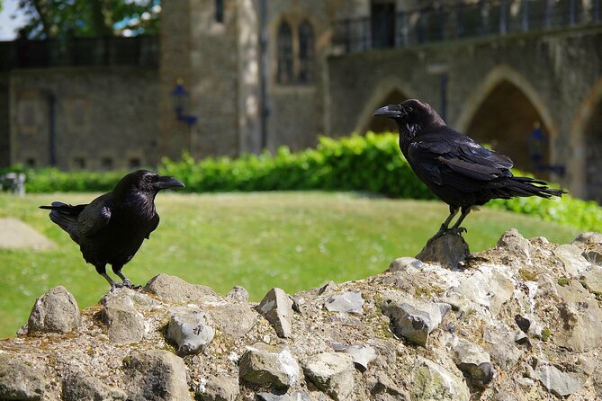 Tower of London Private Walking Tour - Starting with the Tower’s darker side