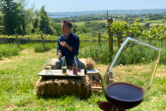 Wine & Cheese in the Somerset Valleys - with Michelin-star lunch! - Why this Somerset day works so well