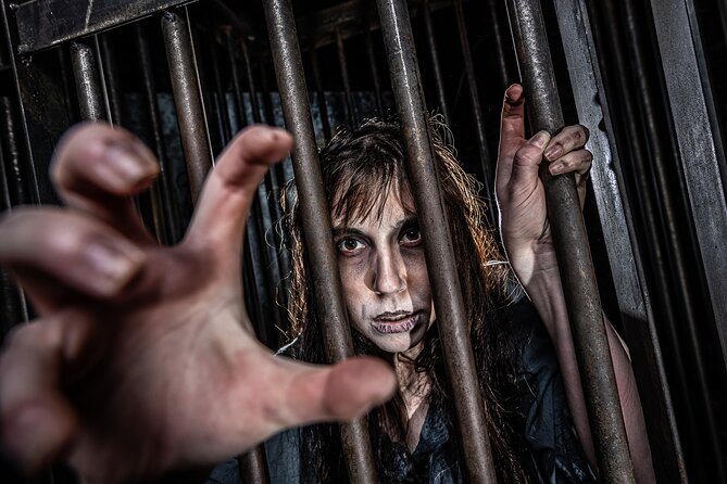 York Dungeon Entry Ticket - Entering Yorkshire’s darker past