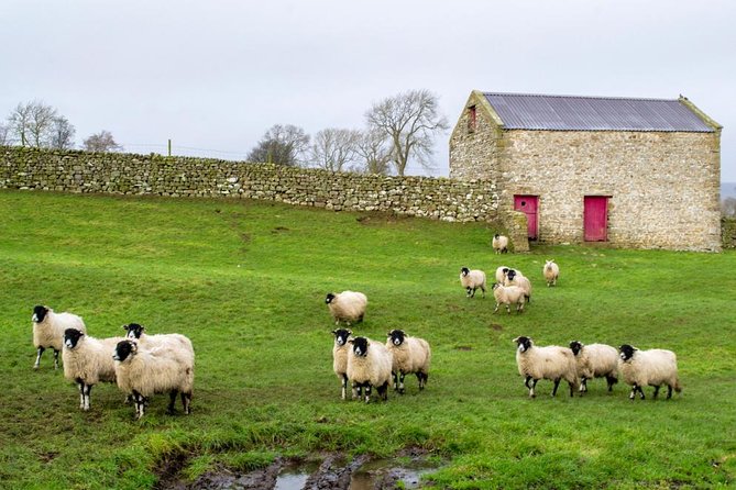 Yorkshire Dales Tour from York - Bolton Castle, a medieval stop with a catch