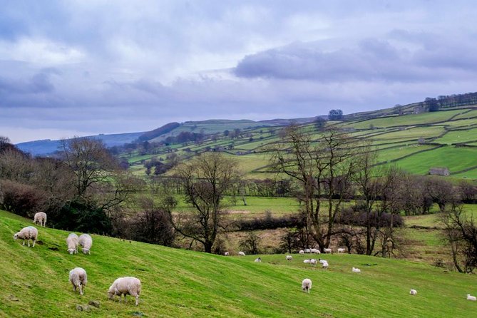 Yorkshire Dales Tour from York - Wensleydale Creamery and the cheese question