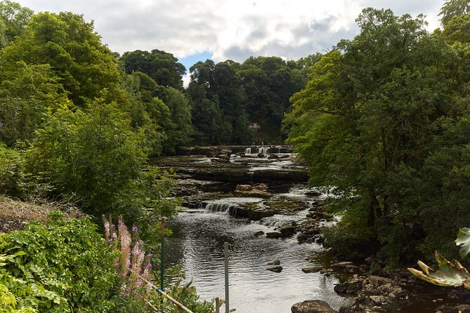 Yorkshire Dales Tour from York - The guides make the difference